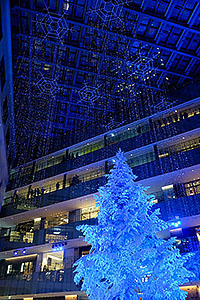 東京駅丸の内・JPタワーKITTEのクリスマスツリー